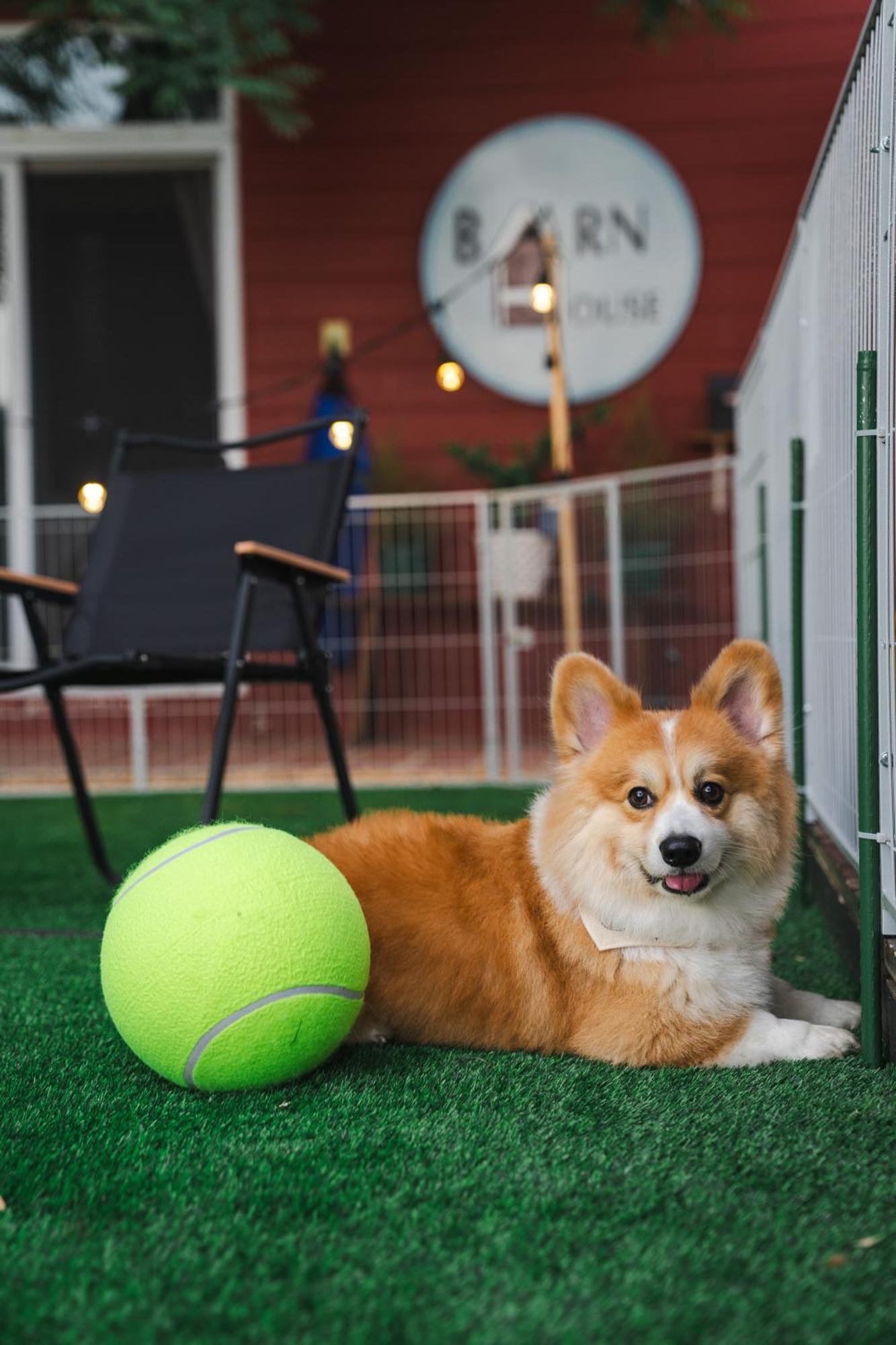 Barn House Pet Friendly Pong Talong Exterior foto
