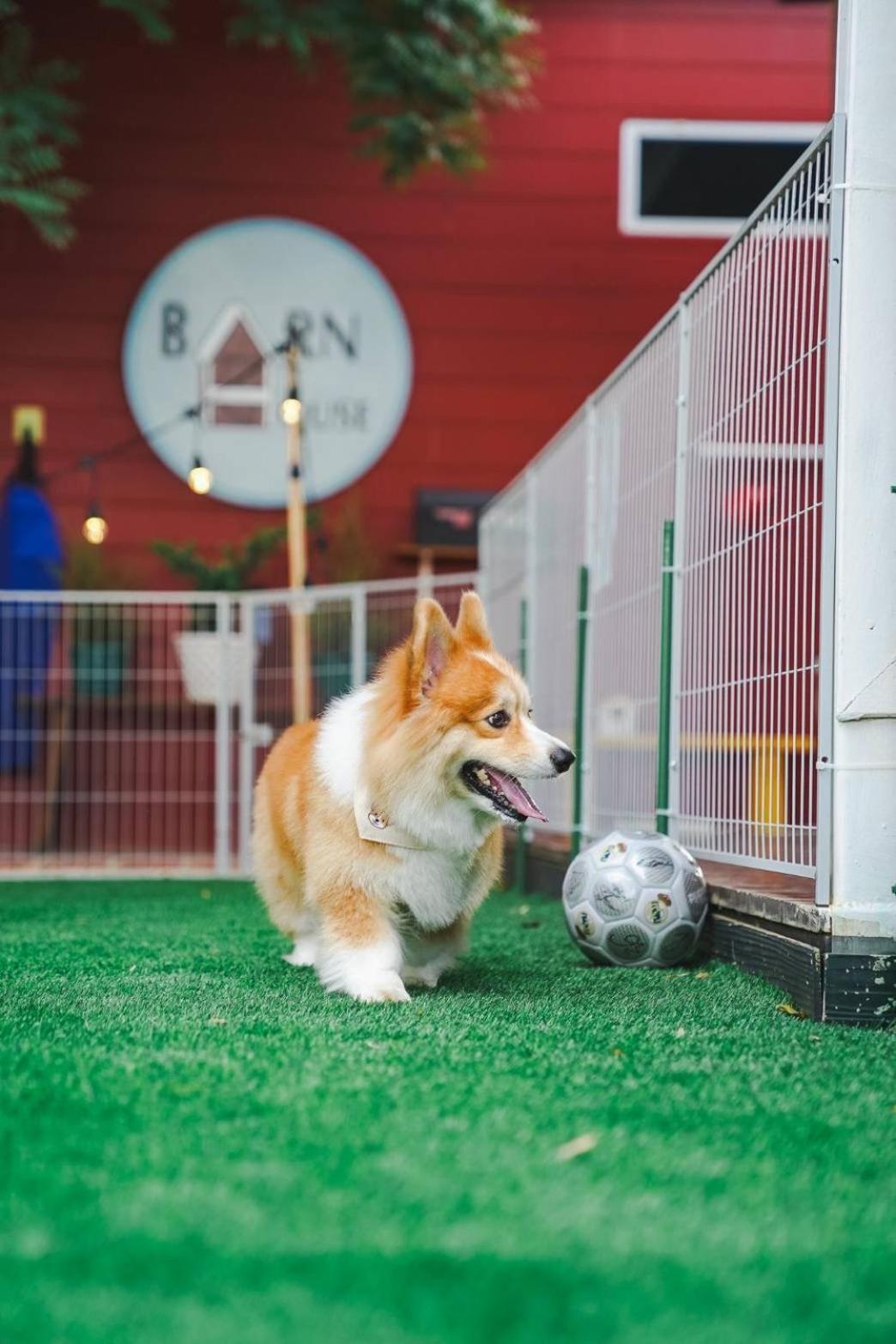 Barn House Pet Friendly Pong Talong Exterior foto