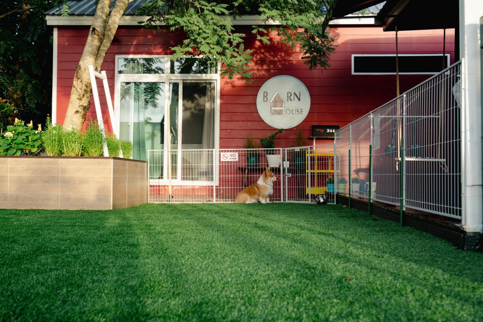 Barn House Pet Friendly Pong Talong Exterior foto