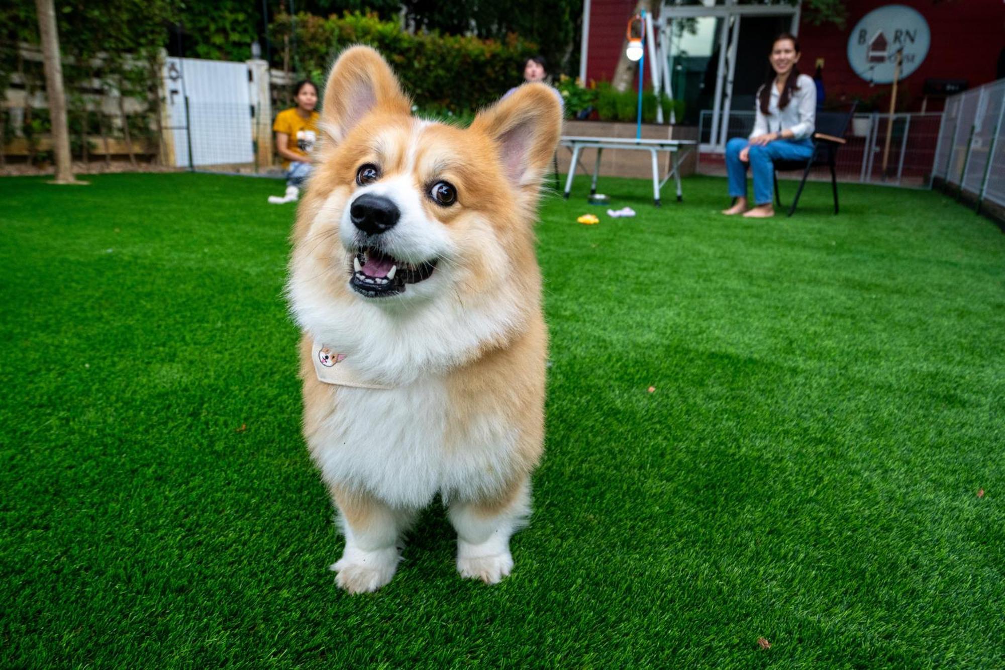 Barn House Pet Friendly Pong Talong Exterior foto